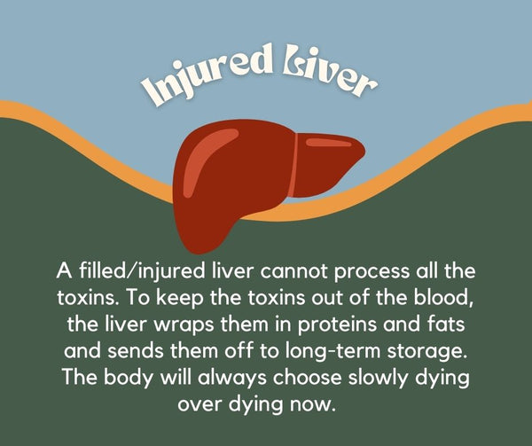 Causes & Outcomes of Having an Injured Liver