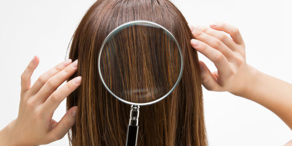 Webinar - Hair Mineral Analysis: Demystifying the Greatest Tool in Clinical Nutrition